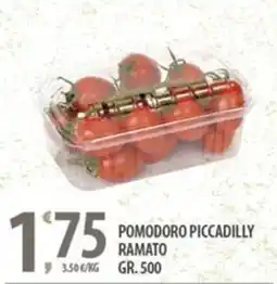 Sisa Pomodoro piccadilly ramato offerta