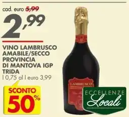 Italmark Vino LAMBRUSCO amabile/secco provincia di mantova igp trida offerta