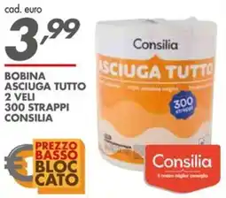 Italmark Bobina asciuga tutto 2 veli 300 strappi CONSILIA offerta