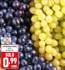 Pam Uva bianca o nera offerta