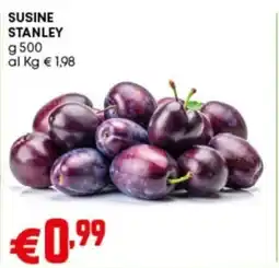 Pam Susine stanley offerta