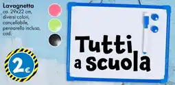 Tedi Lavagnetta offerta