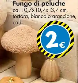 Tedi Fungo di peluche offerta