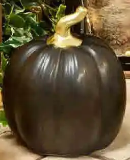 Tedi Zucca decorativa offerta