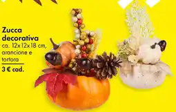Tedi Zucca decorativa offerta