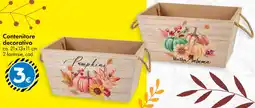 Tedi Contenitore decorativo offerta