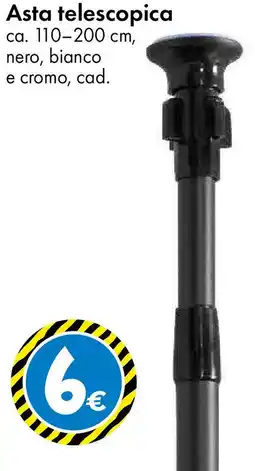 Tedi Asta telescopica offerta