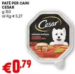 Pam Pate per cani cesar offerta