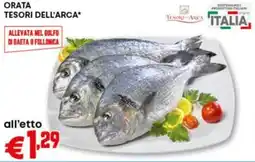Pam Orata tesori dell'arca offerta