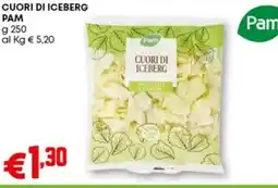 Pam Cuori di iceberg PAM offerta