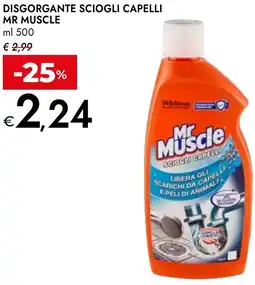 Bennet Disgorgante sciogli capelli MR MUSCLE offerta