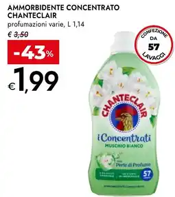 Bennet Ammorbidente concentrato CHANTECLAIR offerta