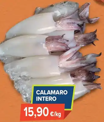 Sapore di Mare Calamaro intero offerta