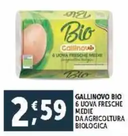 Deco Supermercati Gallinovo bio 6 uova fresche medie daagricoltura biologica offerta