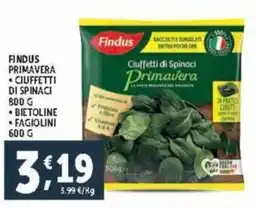 Deco Supermercati Findus primavera offerta