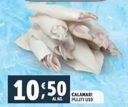 Deco Supermercati Calamari puliti U10 offerta