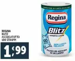 Deco Supermercati Regina blitz asciugatutto 100 strappi offerta