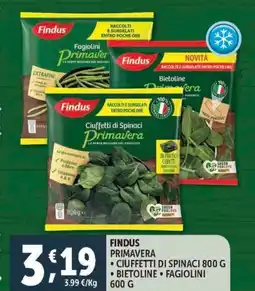 Deco Supermercati Findus primavera-ciuffetti di spinaci-bietoline-fagiolini offerta