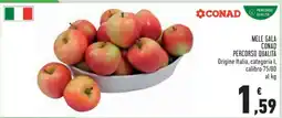 Conad Mele Gala offerta
