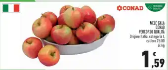 Conad Mele Gala offerta