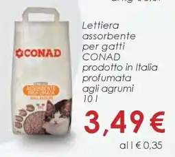 Conad LETTIERA ASSORBENTE PER GATTI CONAD offerta