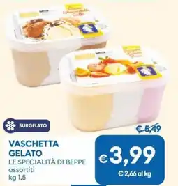 MD Discount Vaschetta gelato LE SPECIALITÀ DI BEPPE offerta