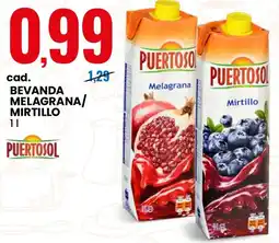 Eurospin Bevanda melagrana/ mirtillo PUERTOSOL offerta