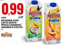 Eurospin Bevanda con latte gusto pesca e mango/ ananas e cocco PUERTOSOL offerta