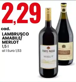 Eurospin Lambrusco amabile merlot FORTE PASSO offerta