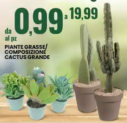 Eurospin Piante grasse/ composizione cactus grande offerta