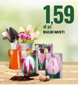 Eurospin Bulbi misti offerta