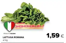 Tigre Lattuga romana offerta