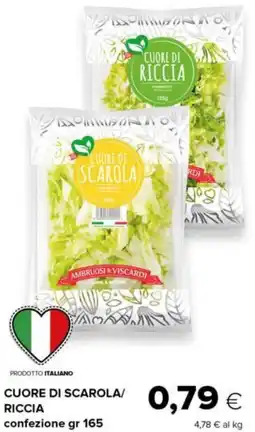 Tigre Cuore di scarola/riccia offerta