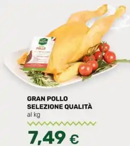 Tigre Gran pollo SELEZIONE QUALITÀ offerta