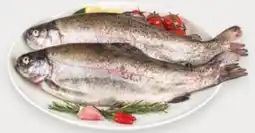 Tigre Trota salmonata iridea SELEZIONE QUALITÀ offerta