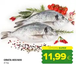 Tigre Orata 400/600 offerta