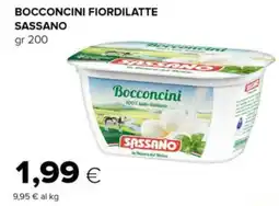 Tigre Bocconcini fiordilatte SASSANO offerta