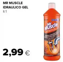 Tigre Mr muscle idraulico gel offerta