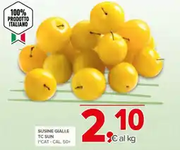 Todis Susine gialle TC sun offerta