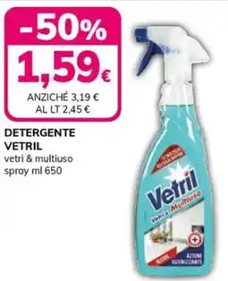 Basko Detergente VETRIL Spray offerta