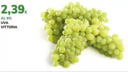 Basko UVA vittoria offerta