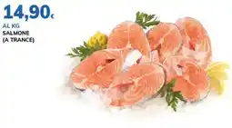 Basko Salmone (a trance) offerta