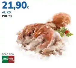 Basko Polpo offerta