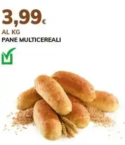 Basko Pane multicereali offerta