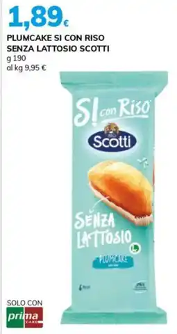 Basko Plumcake si con riso senza lattosio SCOTTI offerta