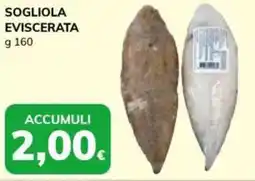 Basko Sogliola eviscerata offerta
