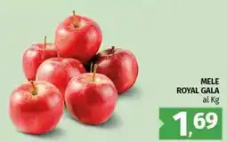 Pam Mele royal gala offerta
