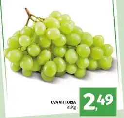 Pam UVA vittoria offerta