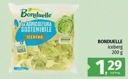 Pam BONDUELLE iceberg offerta