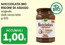 Basko Nocciolata bio rigoni di asiago offerta